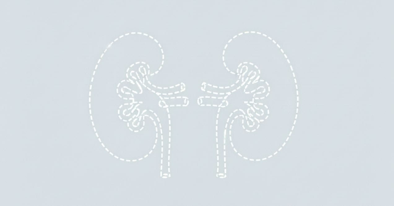 Can You Live Without Kidneys? Life Expectancy and Care