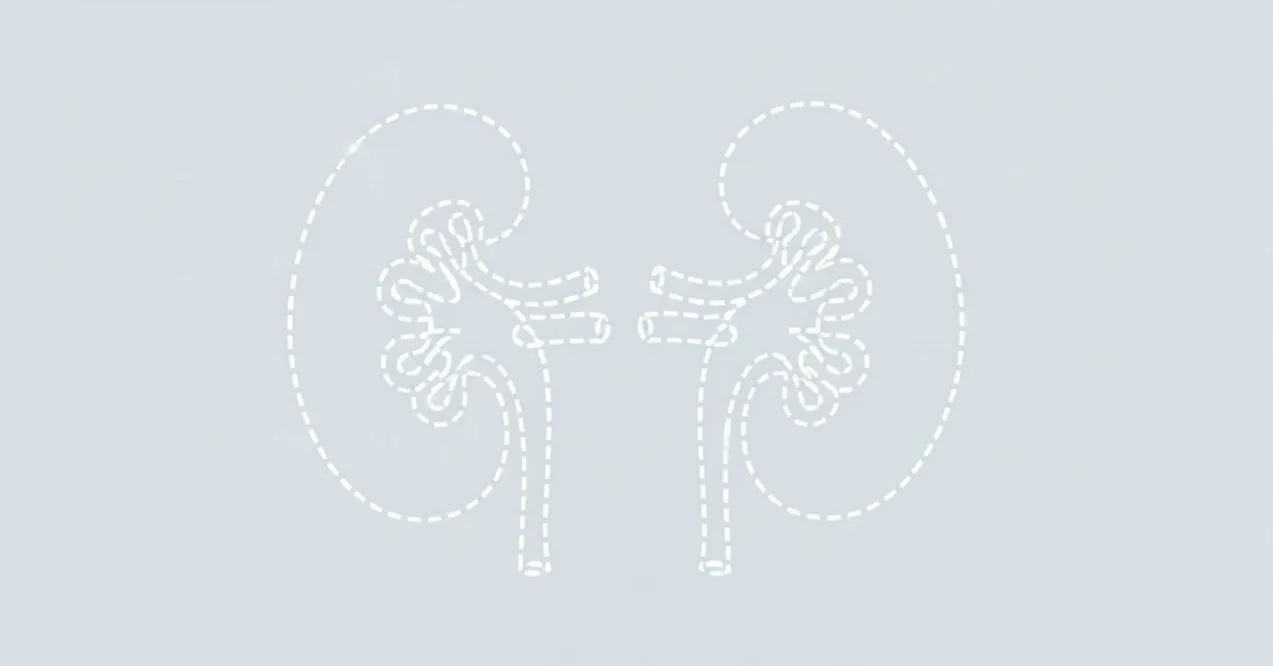 Symbolic outline illustration showing two missing kidneys