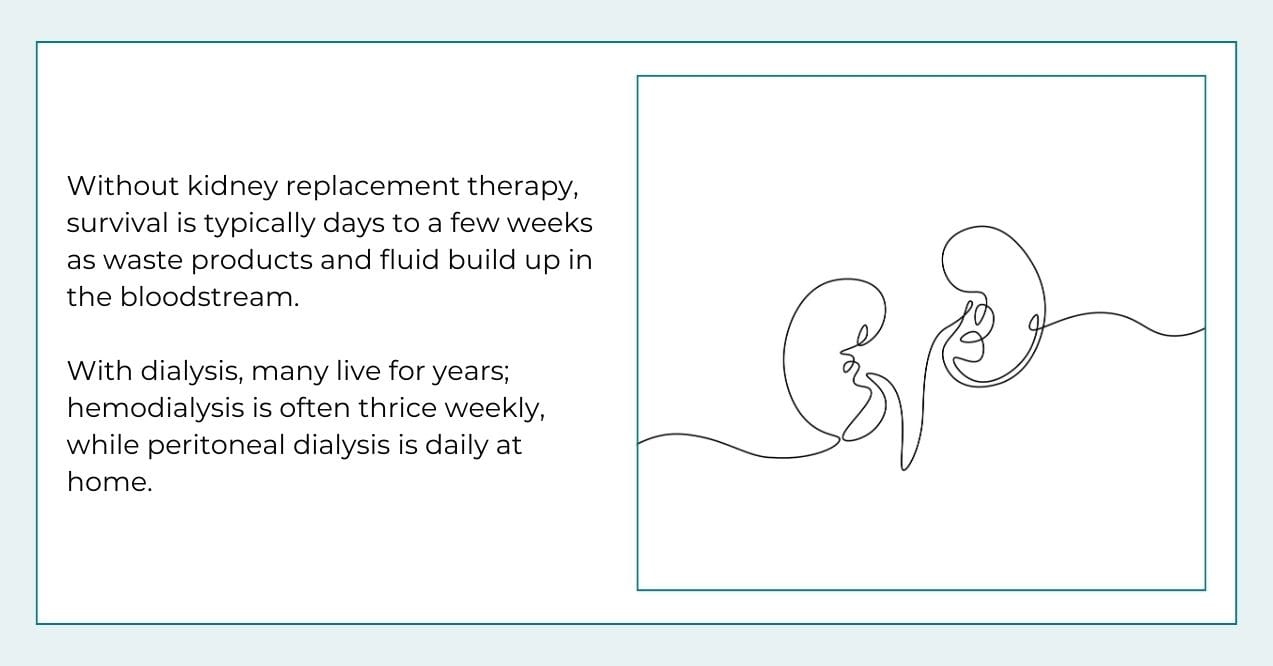 Infographic on living without kidneys