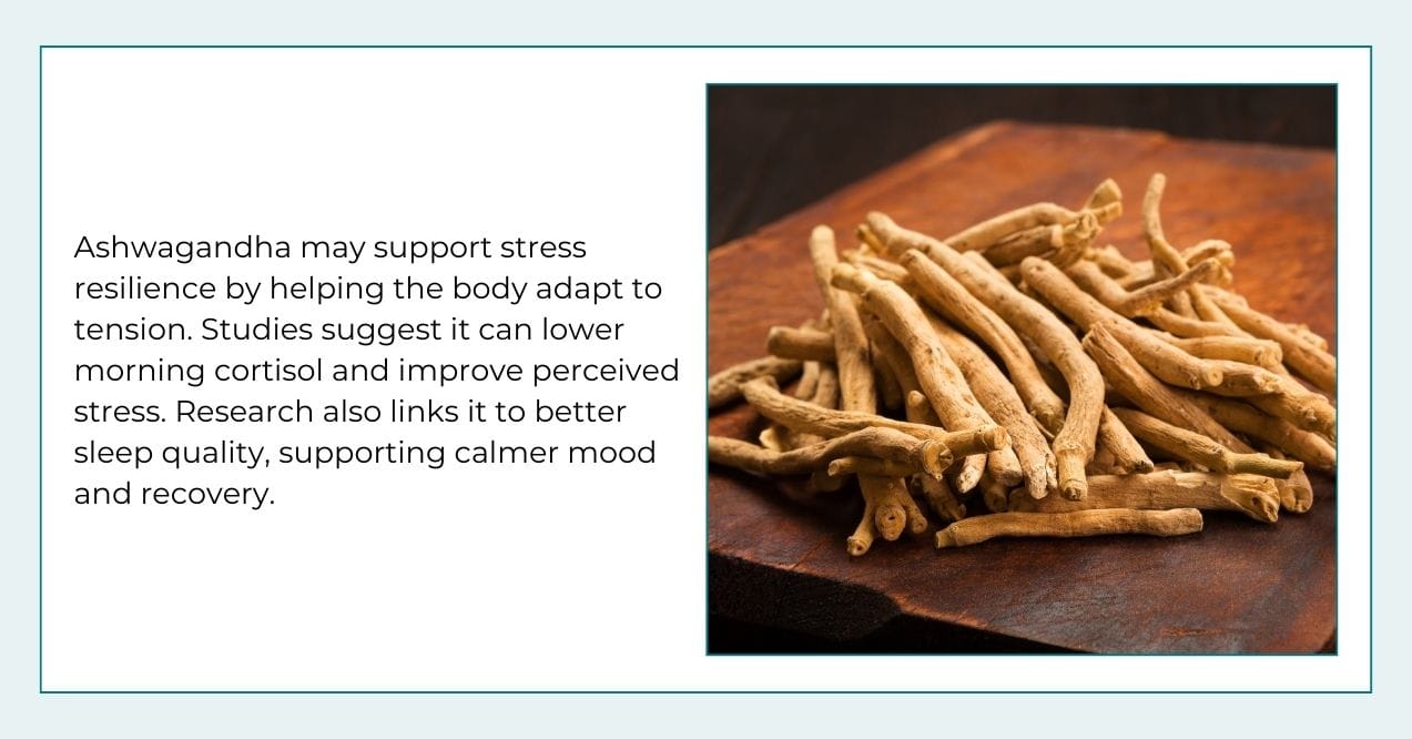 Infographic on ashwagandha for stress support
