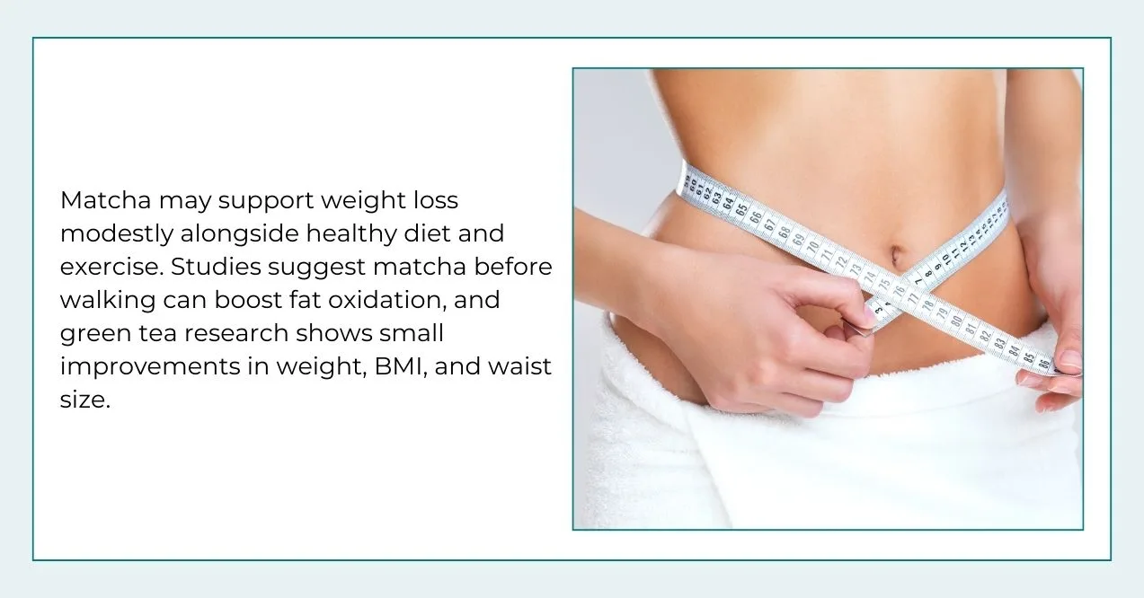 Infographic on matcha for weight loss