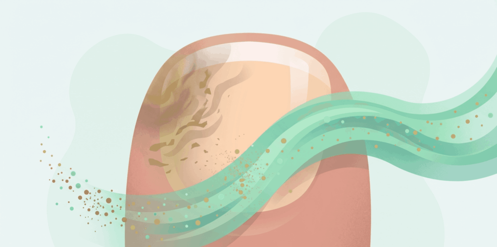 Overall Appearance of the Toenail