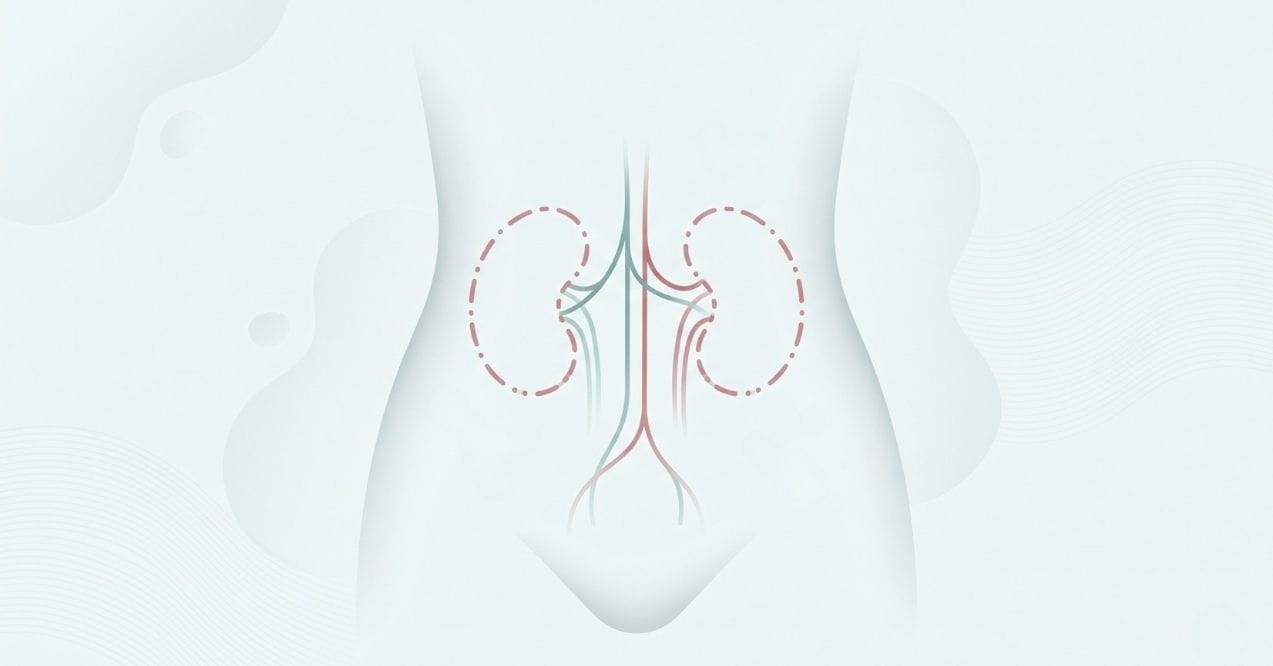 can you live without kidneys