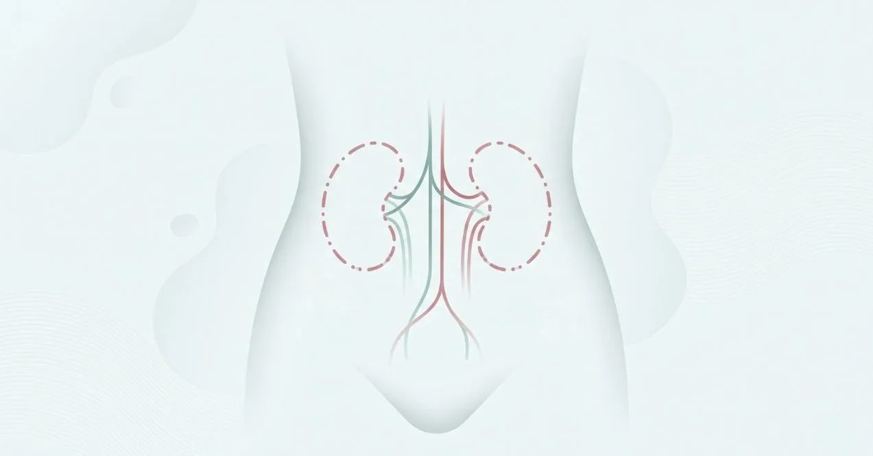 can you live without kidneys