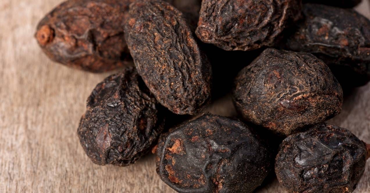 Close-up of dried saw palmetto berries