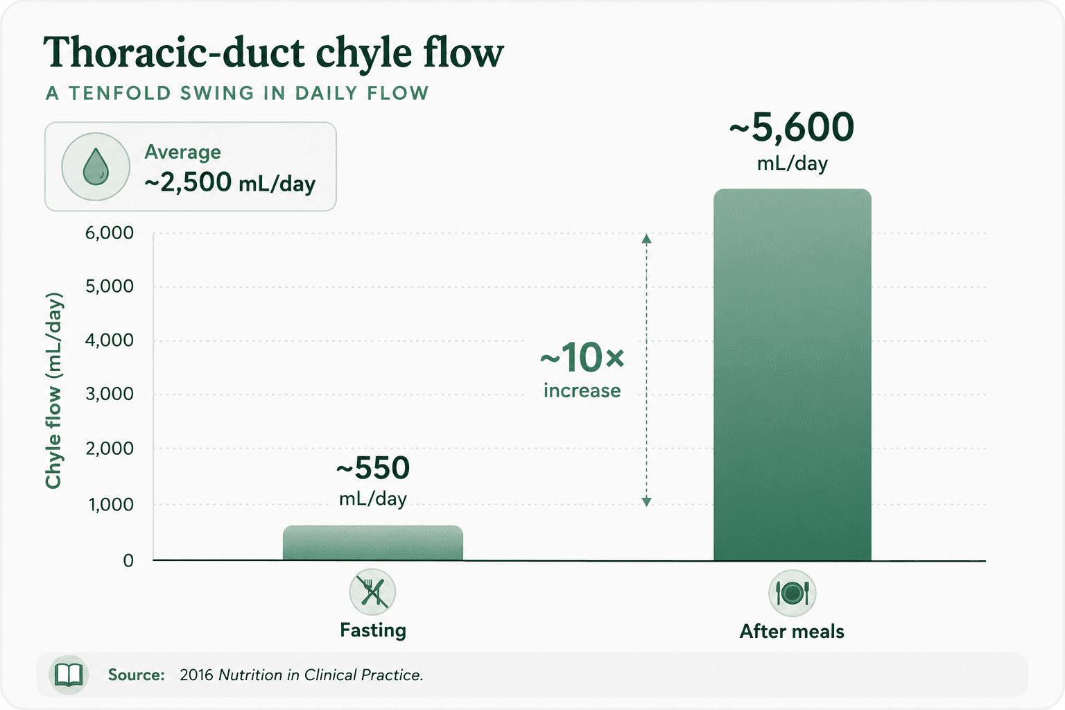 Bar chart: thoracic duct chyle flow rises about 10x, from ~550 mL/day fasting to ~5,600 mL/day after meals