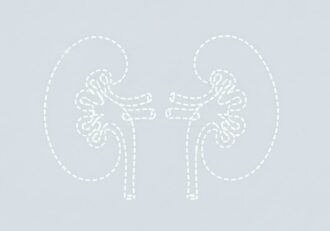 Symbolic outline illustration showing two missing kidneys
